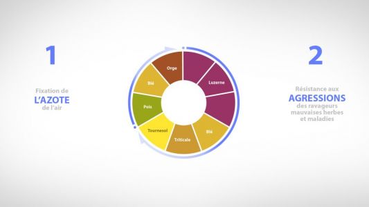 Rotation des culture - dicoAE