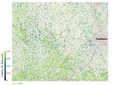 Estimation de la diversité en plantes dans les prairies dans le Sud-Ouest toulousain. Plus les valeurs sont élevées, plus la diversité de Simpson est forte.