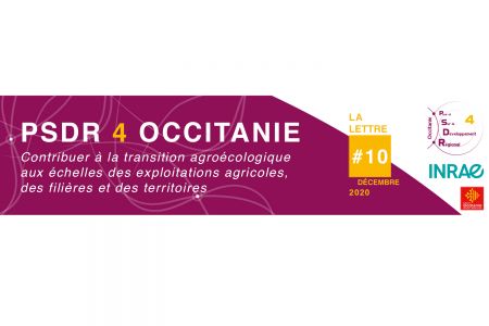 Header de la lettre d'information PSDR4 Occitanie N°10