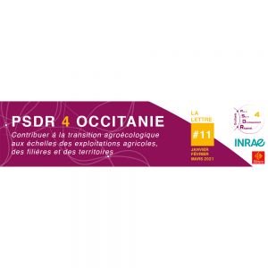 Header de la lettre d'information PSDR4 Occitanie N°11