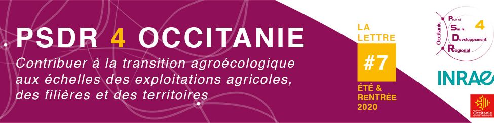 Header de la lettre d'information PSDR4 Occitanie N°7