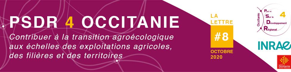 Header de la lettre d'information PSDR4 Occitanie N°8
