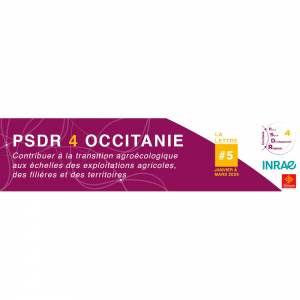 Header de la lettre d'information PSDR4 Occitanie N°5