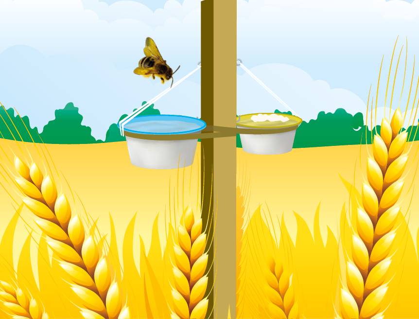 Recenser les pollinisateurs - Etape 2