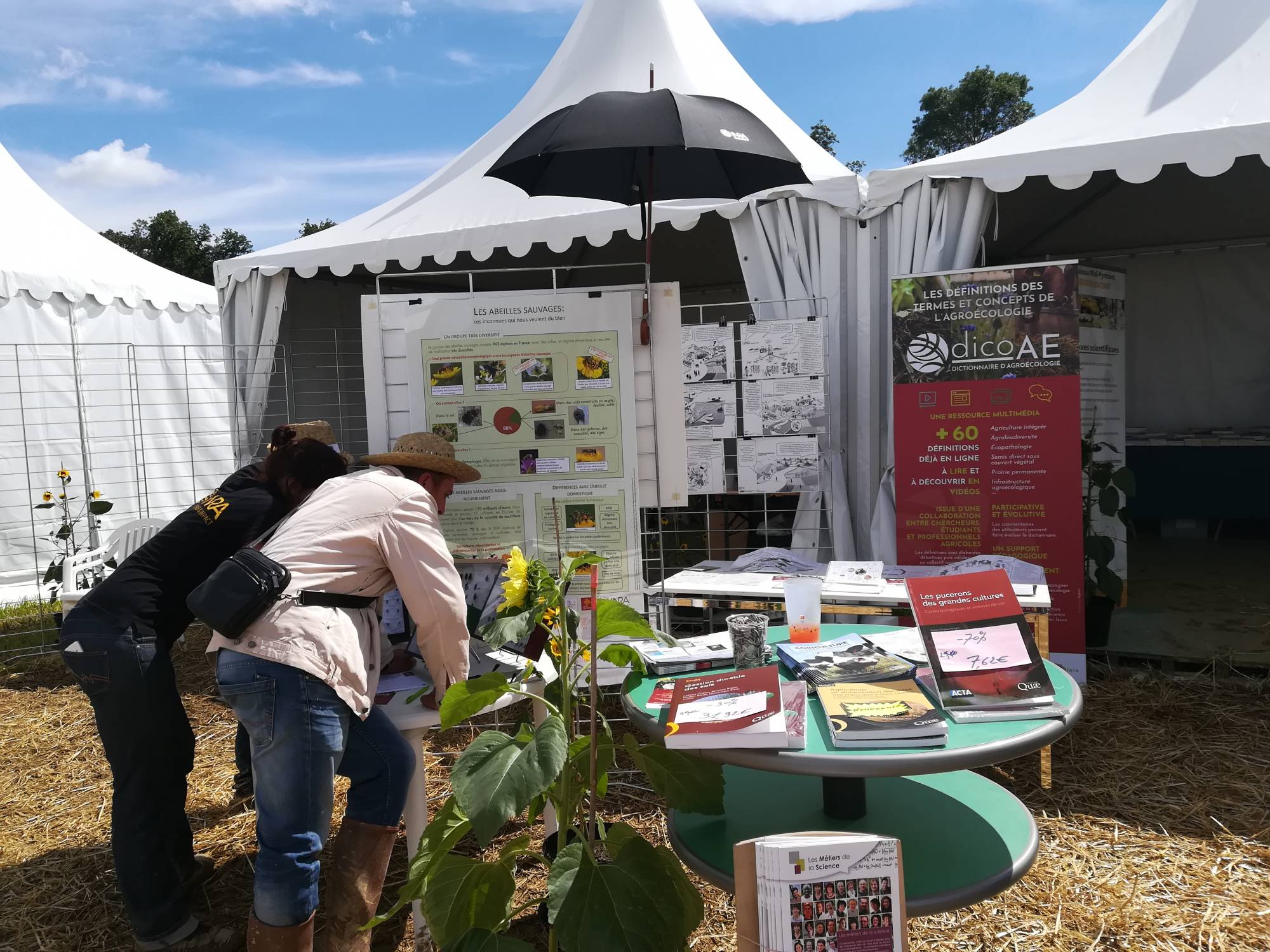 PSDR4 Occitanie aux Culturales 2018