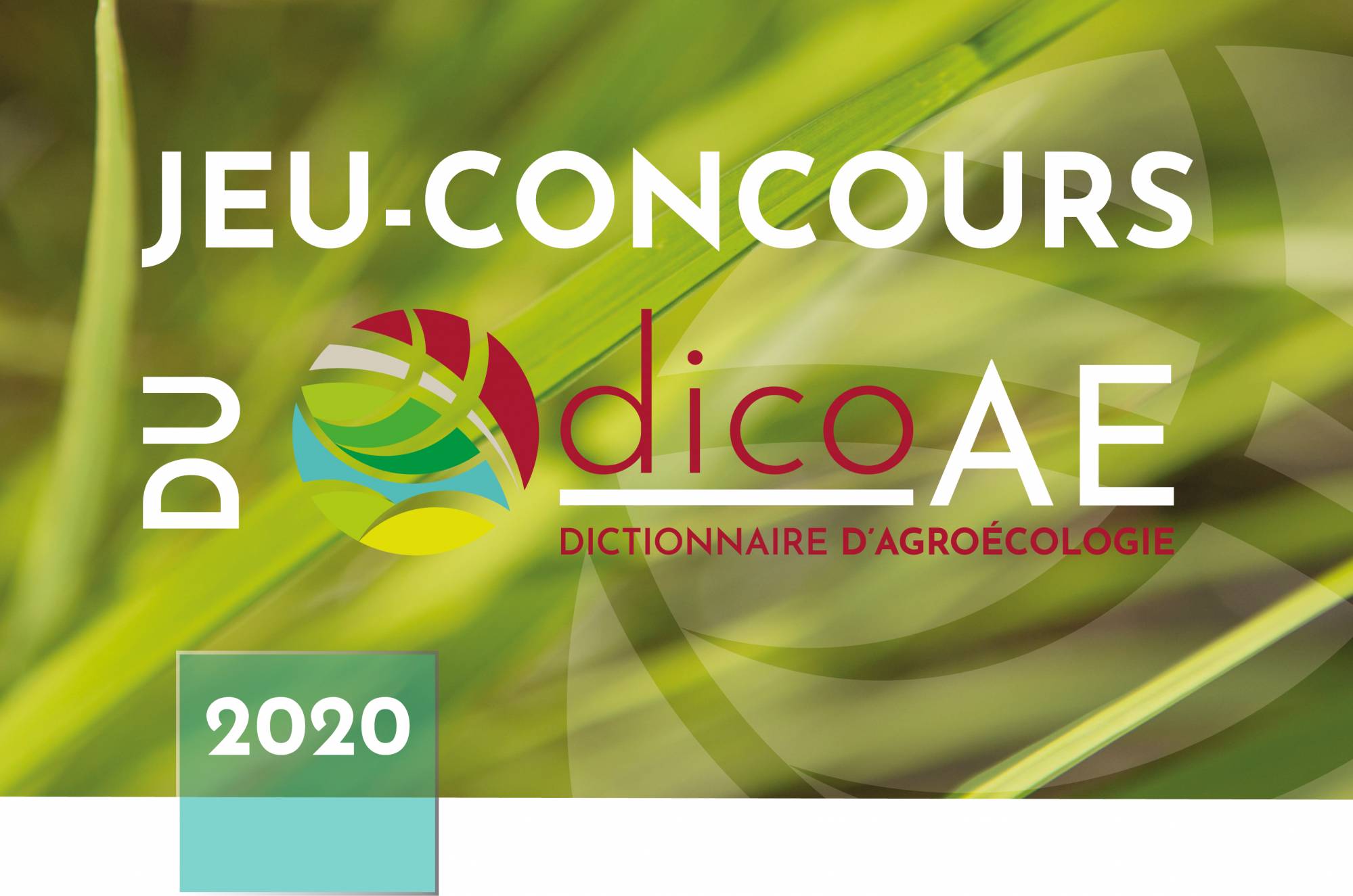 jeu-concours dicoAE