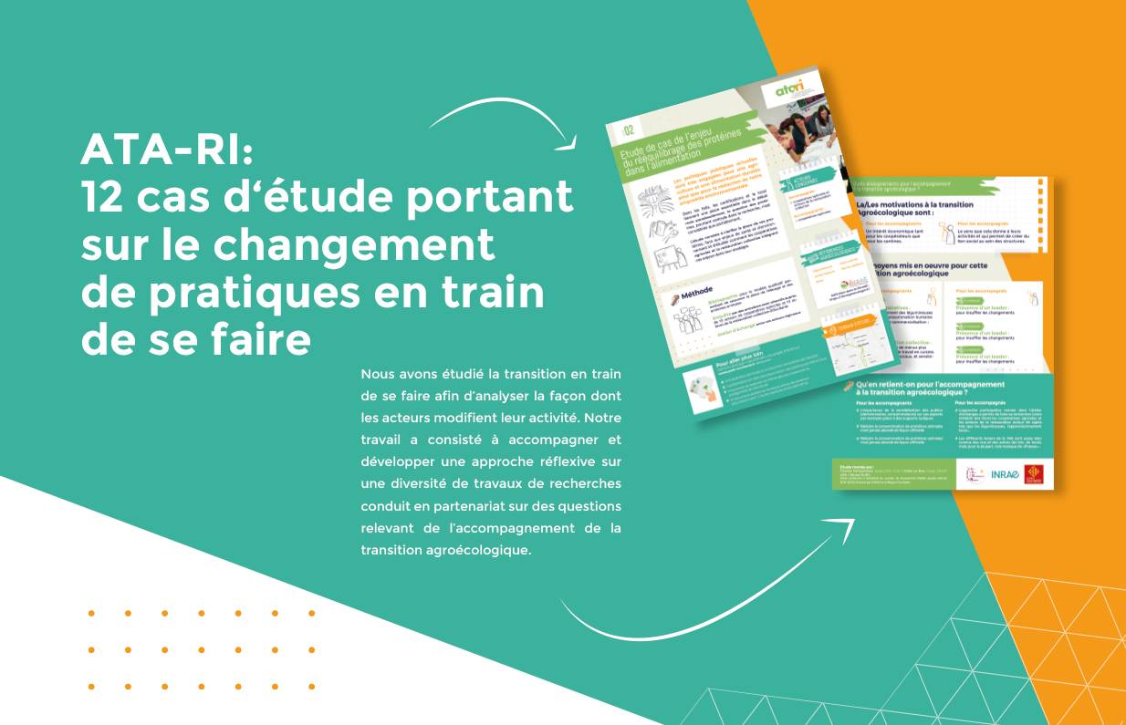 12 fiches sur les cas d'études du projet ATA-RI sont à découvrir