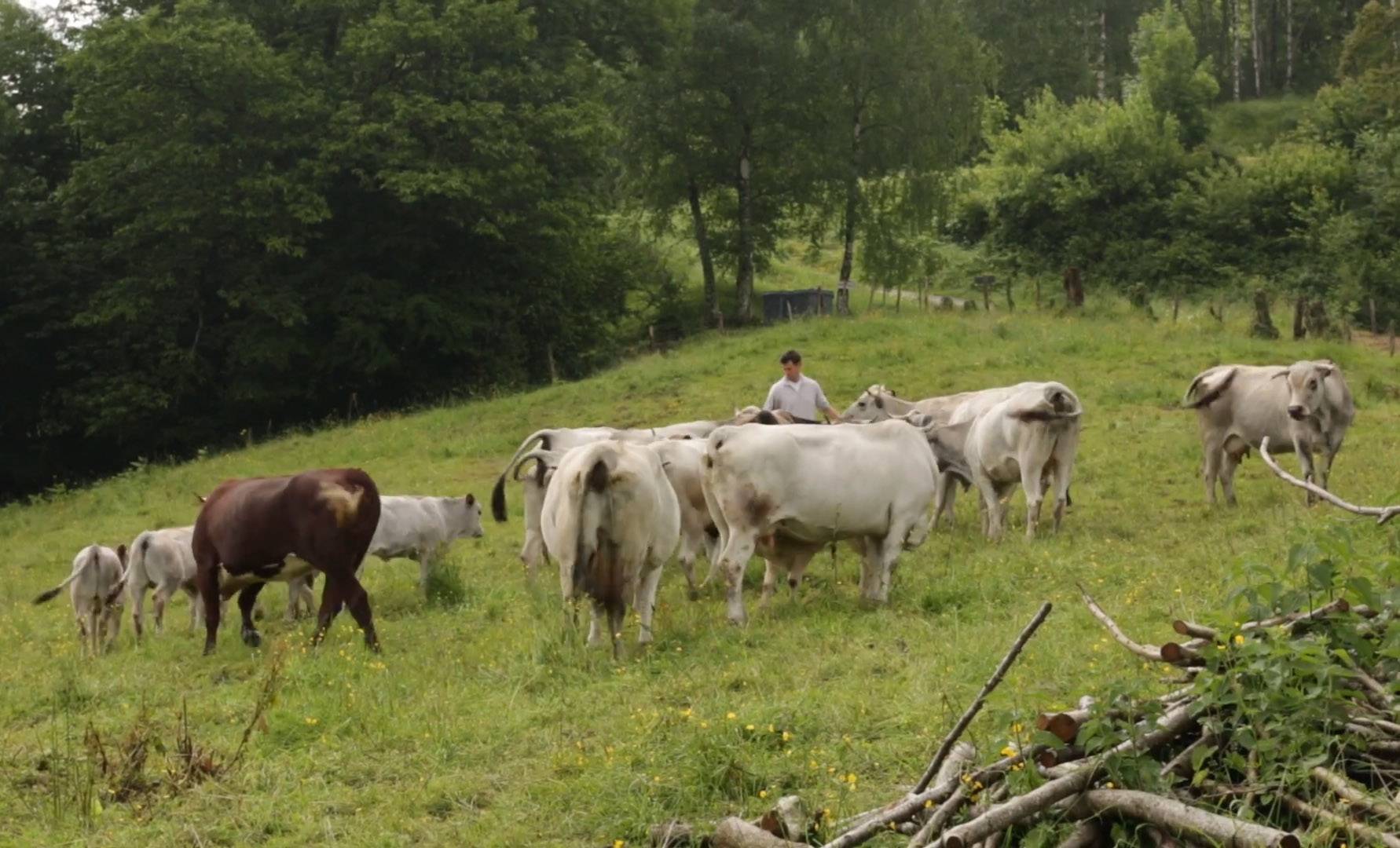 Image extraite de la vidéo "relocalisation de l'agriculture" du dictionnaire d'agroécologie