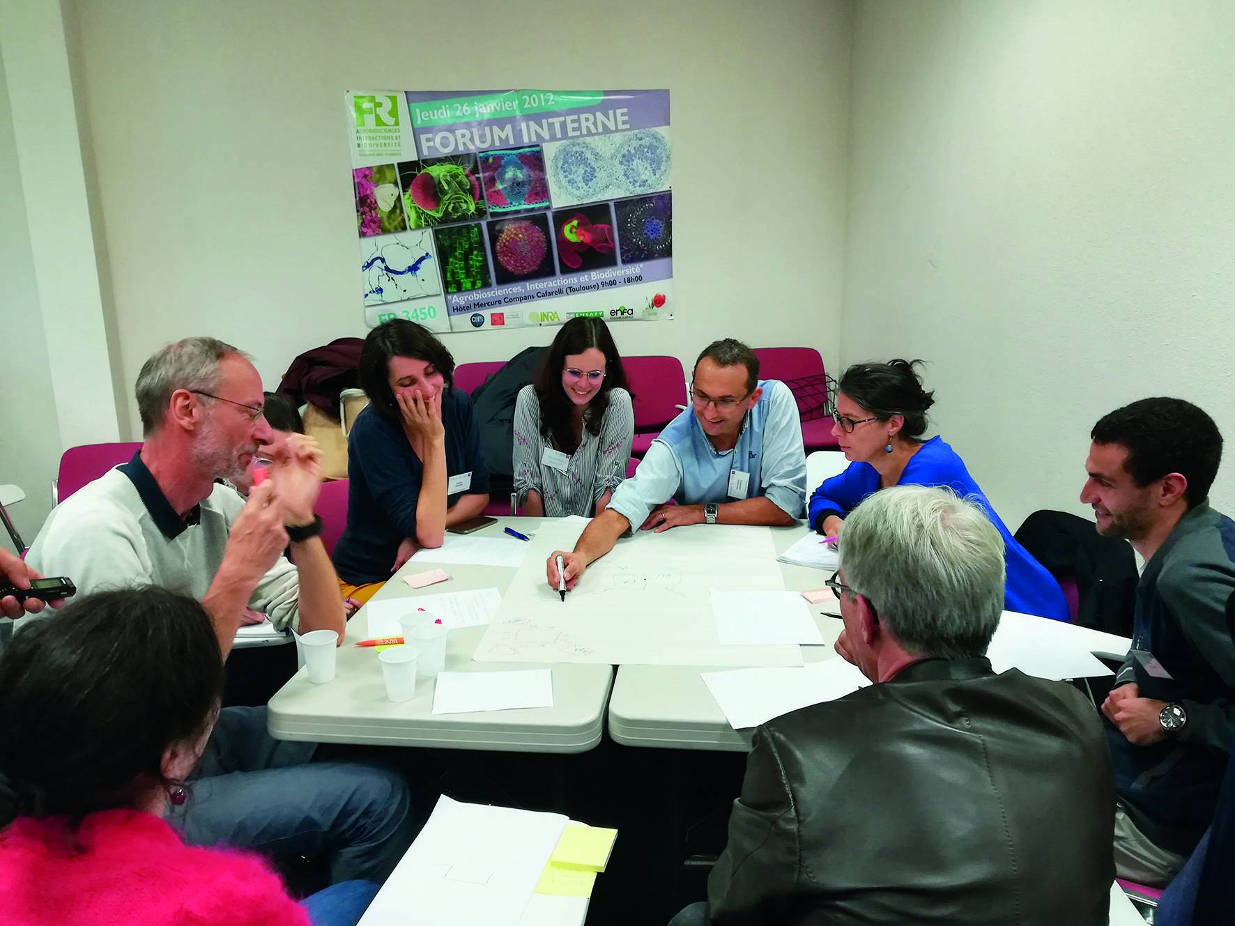 Atelier d'échange sur la place des protéines en Occitanie en octobre 2019