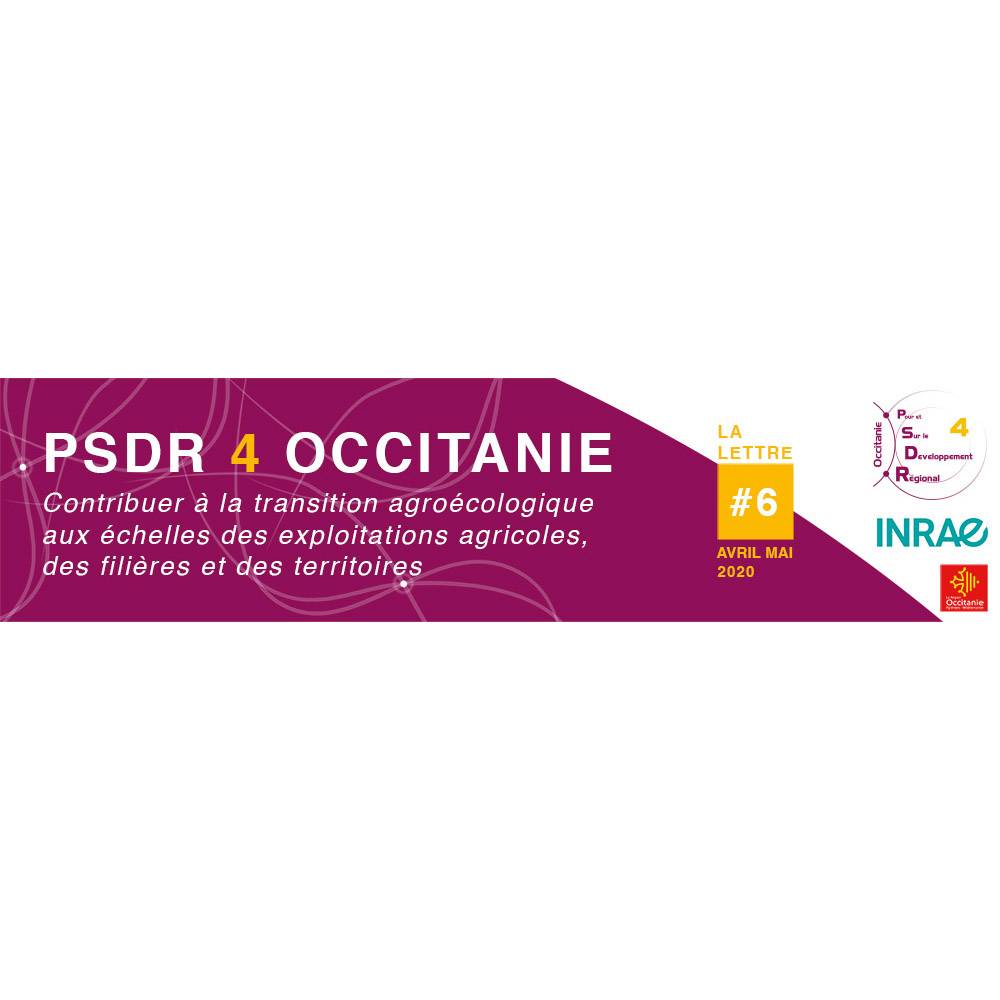 Header de la lettre d'information PSDR4 Occitanie N°6