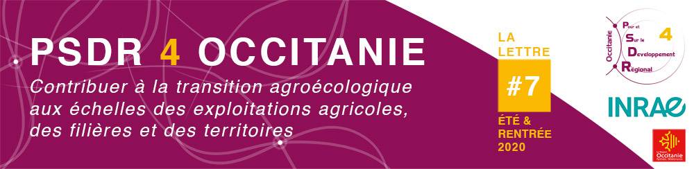 Header de la lettre d'information PSDR4 Occitanie N°7