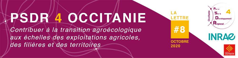 Header de la lettre d'information PSDR4 Occitanie N°8