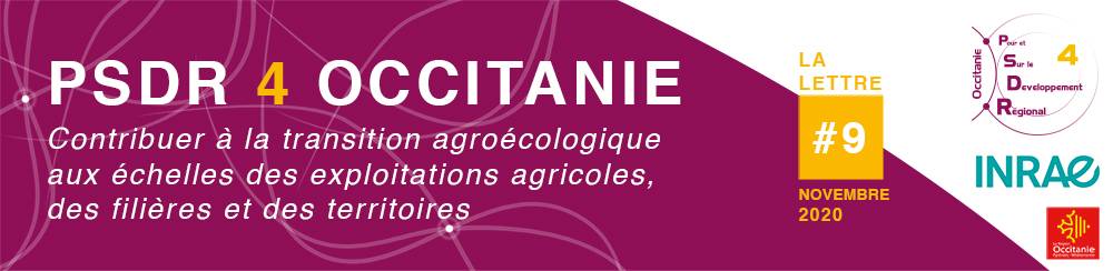 Header de la lettre d'information PSDR4 Occitanie N°9