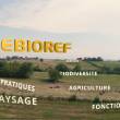 Image Vidéo SEBIOREF