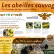 Poster Abeilles Sauvages 