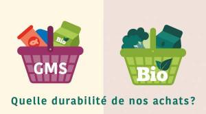 Achats bio = achats plus durables ?