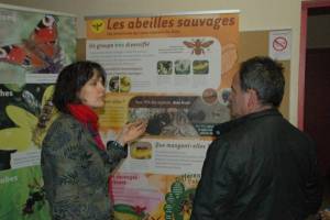 Echanges autour du poster "pollinisation" de SEBIOREF