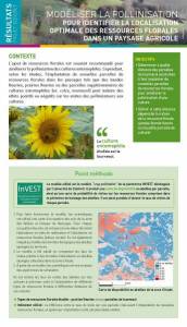 Fiche Modéliser la pollinisation