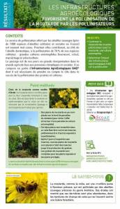 Les infrastructures agroécologiques favorisent la pollinisation...