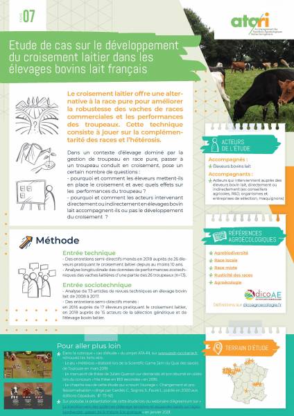 Fiche-ATA-RI-7-Étude de cas sur le croisement entre races bovines