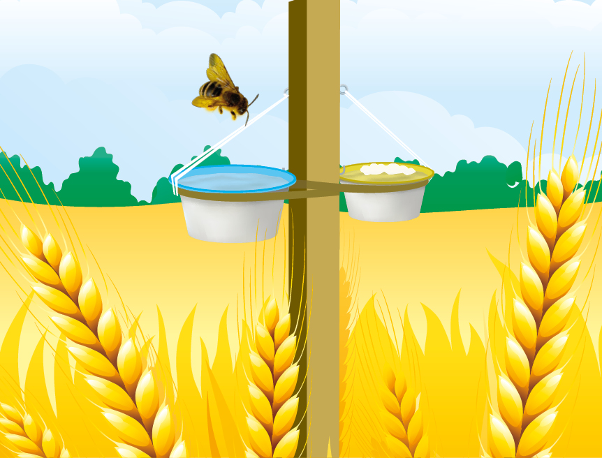 Comment évaluer la diversité des pollinisateurs sur un territoire ?