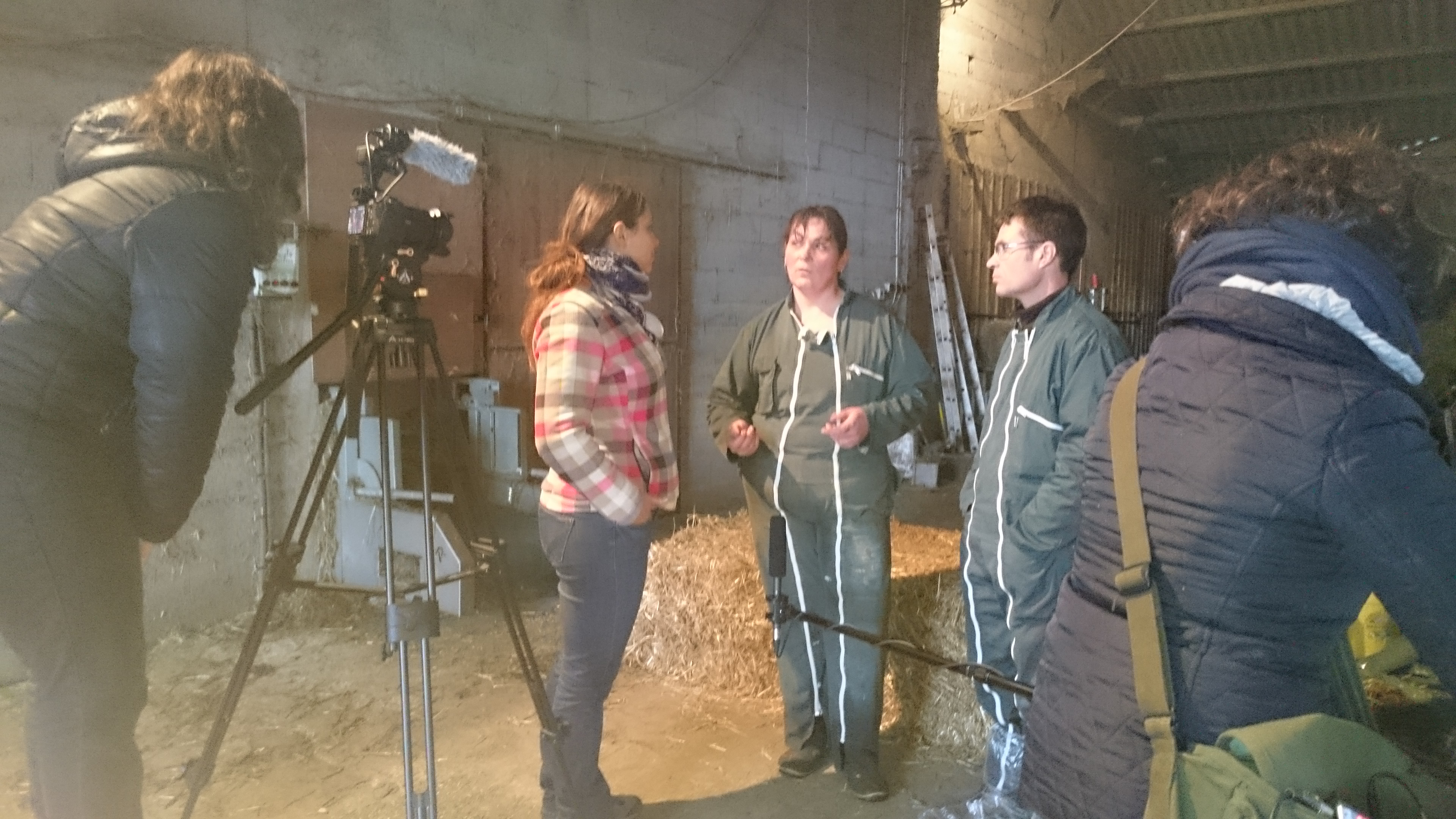 Les vidéos du programme PSDR4 Occitanie