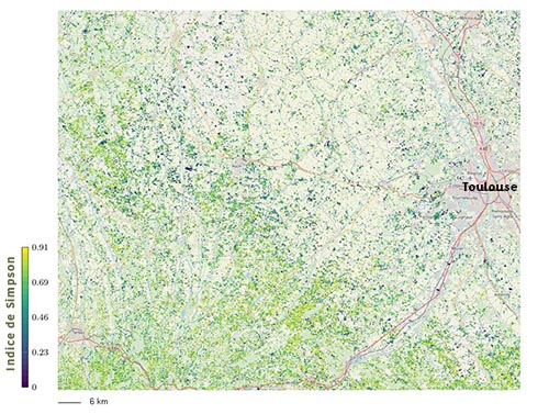 Estimation de la diversité en plantes dans les prairies dans le Sud-Ouest toulousain. Plus les valeurs sont élevées, plus la diversité de Simpson est forte.