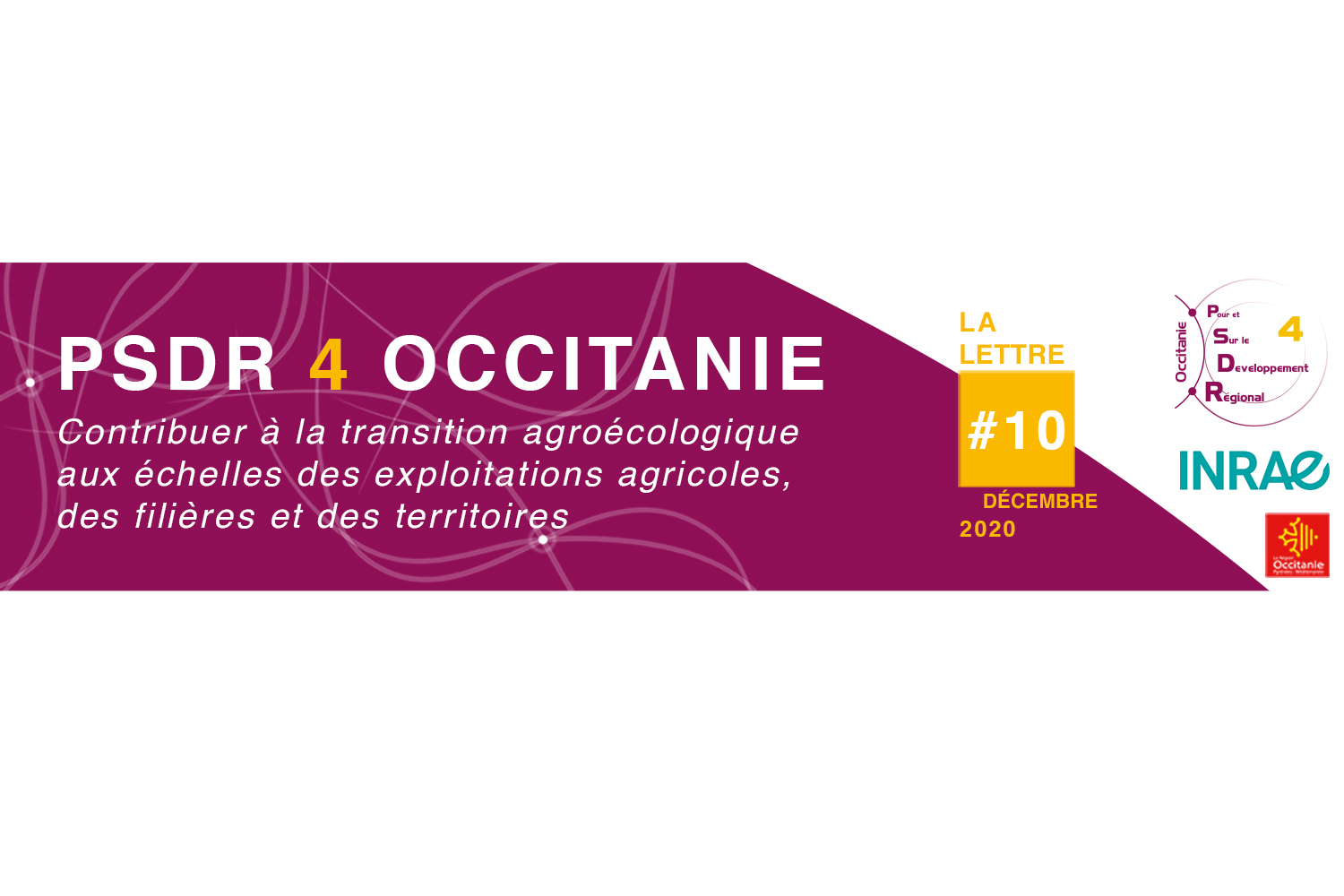 Header de la lettre d'information PSDR4 Occitanie N°10